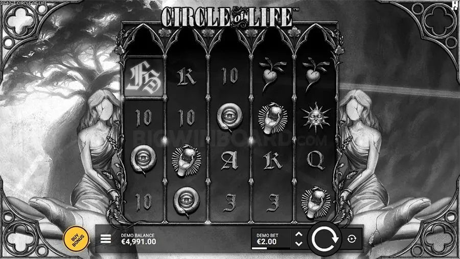 Live Casino Tips